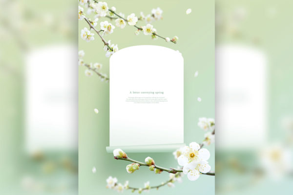 茉莉花-春天花卉主题海报/贺卡/信纸设计psd素材