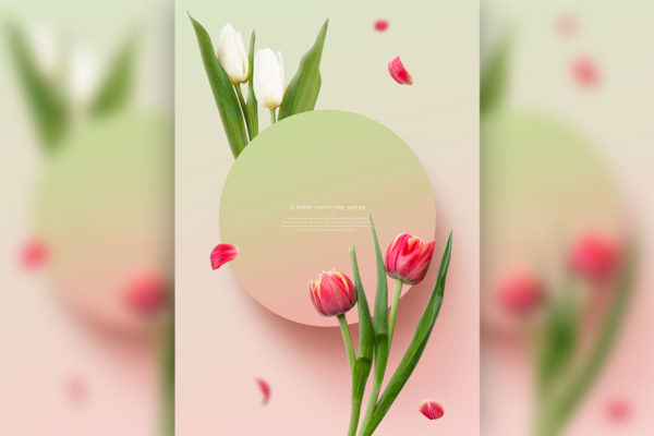 郁金香-春天花卉主题海报/贺卡/信纸设计psd素材