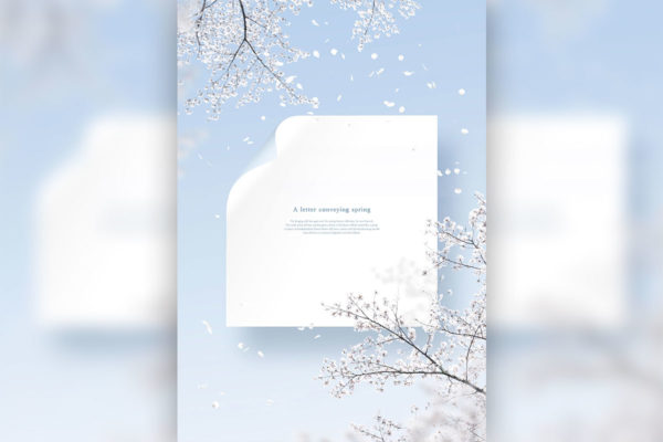 白色樱花-春天花卉主题海报/贺卡/信纸设计psd素材