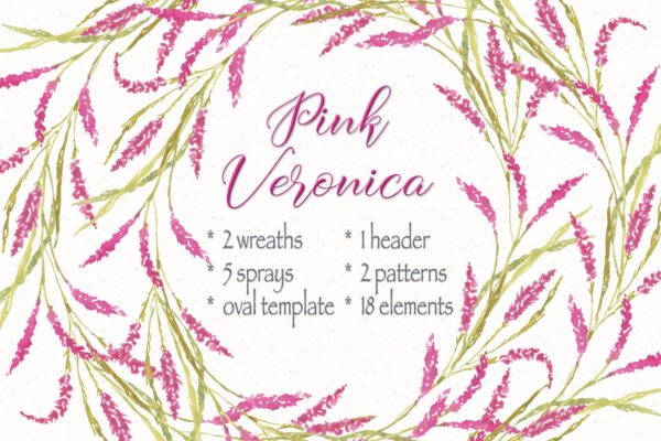 粉红维罗妮卡水彩花卉剪贴画套装 Pink Veronica Watercolor Clip Art Bundle