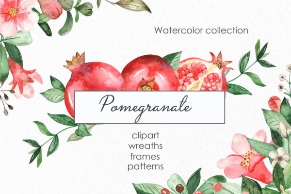 水彩石榴剪贴画/花框/花环蚂蚁素材精选设计素材 Watercolor pomegranate. Clipart, frames, wreaths