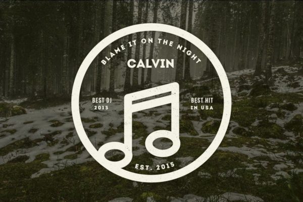 12款复古风格Logo&徽章设计模板v08 12 Vintage Logos & Badges 008