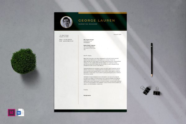 简约朴实风格专业CV简历模板v02 Professional CV Resume – 02