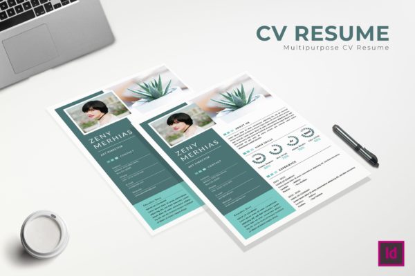 艺术指导职位应聘个人简历模板 Flaws CV Resume Template
