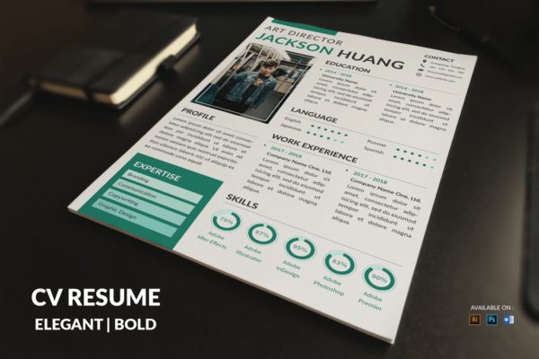 创意艺术经理/总监蚂蚁素材精选简历模板 CV Resume Modern And Clean