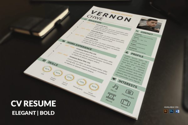 专业图形设计师现代风格电子简历模板 CV Resume Modern And Professional