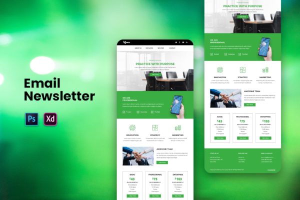 创意互联网产品服务推广EDM邮件模板蚂蚁素材精选下载 Email Newsletter