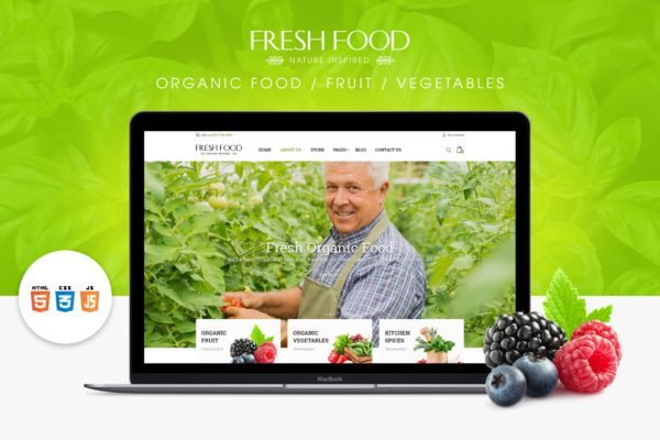 有机食品/蔬果网上商城HTML模板蚂蚁素材精选下载 Fresh Food – Organic Food/Fruit HTML Template
