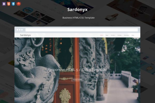 强大简约的响应式商务网站HTML模板蚂蚁素材精选 Sardonyx – Fully Responsive Business Template