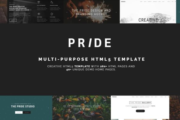 现代设计风格高度可定制响应式HTML5网站模板蚂蚁素材精选 Pride – Multipurpose HTML5 Theme