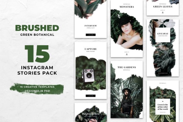 笔画笔刷图形Instagram社交设计模板第一素材精选 Botanical Brush Instagram Stories