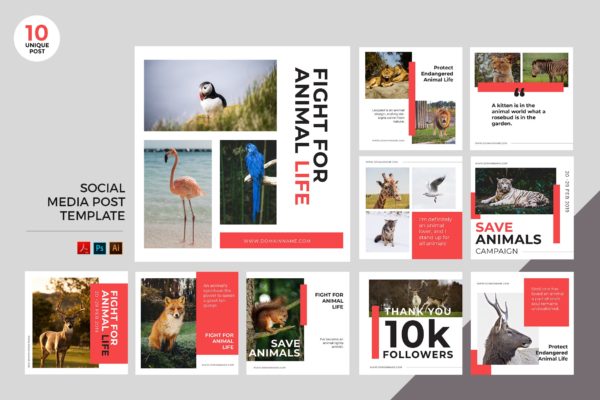 动物保护主题社交宣传PSD&AI设计素材 Animal Protection Social Media Kit PSD & AI