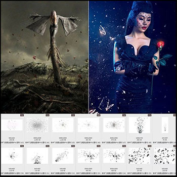 飞溅飘洒飘散落树叶钞票花瓣纸张PSDPNGJPG影楼后期合成素材