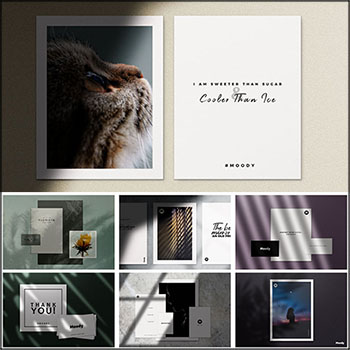 25套光影效果样机模型PSD分层素材