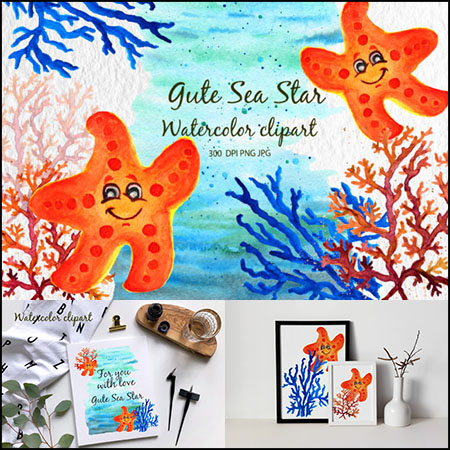 水彩海洋生物珊瑚和海星剪贴画PNG免抠图
