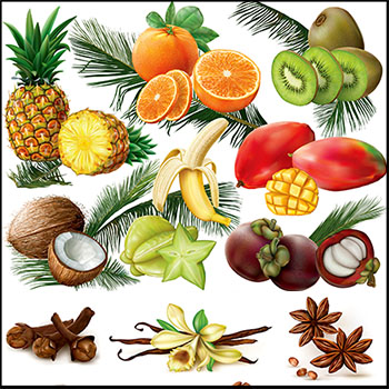 水果海报水果背景水果第一素材网矢量素材精选