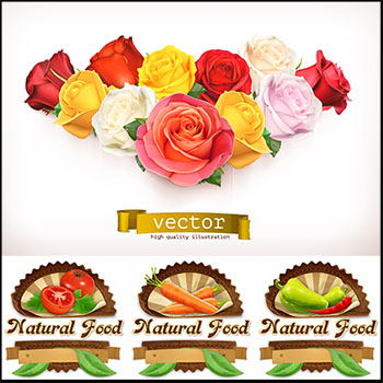 水果浆果和蔬菜第一素材网矢量图标精选和插图