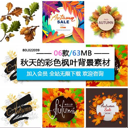 秋天的彩色枫叶背景素材