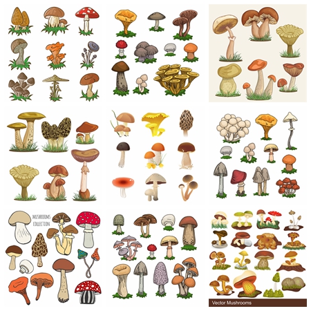25套卡通有毒真菌蘑菇和食用蘑菇第一素材网矢量素材精选