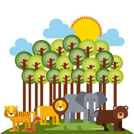 可爱森林野生动物及方形可爱动物头像第一素材网矢量模板精选