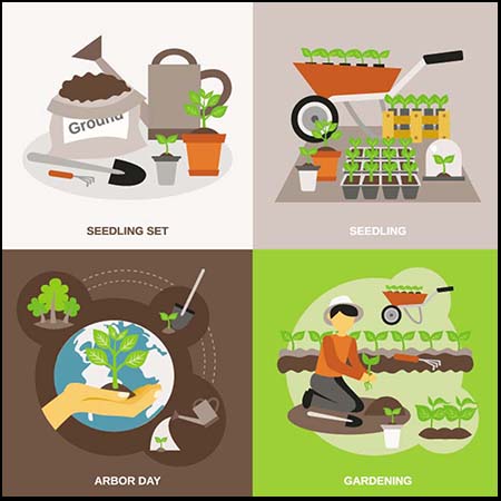 植树节栽种花苗树苗矢量插画