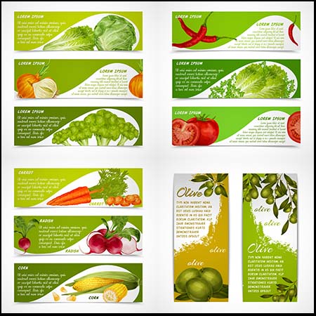 绿色蔬菜横幅展板广告模板