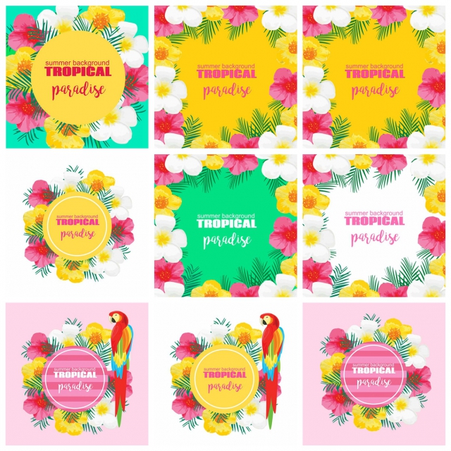 夏季花卉背景素材