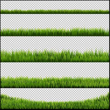 绿色小草花边素材