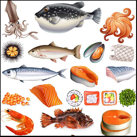 4套海鱼龙虾生蚝等海产品第一素材网矢量素材精选