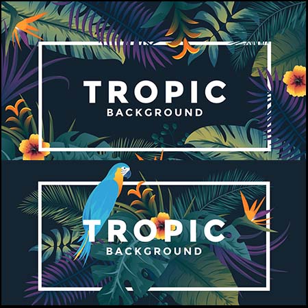 5款热带植物背景第一素材网矢量素材精选