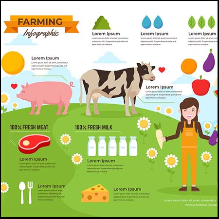 有机农场蔬菜信息图表第一素材网矢量素材精选