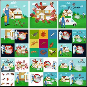 蟑螂蚊虫防治第一素材网矢量插图精选