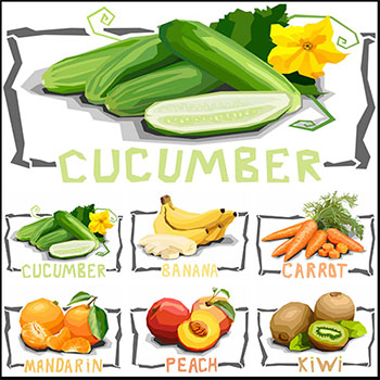 15款水果和蔬菜矢量抽象插图