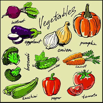 10套蔬菜第一素材网矢量插图精选