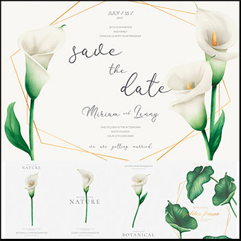 白色百合花和叶子花卉水彩背景第一素材网矢量素材精选