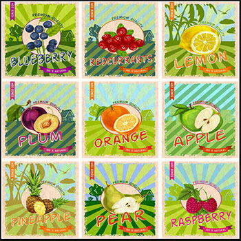 13款水果复古矢量海报