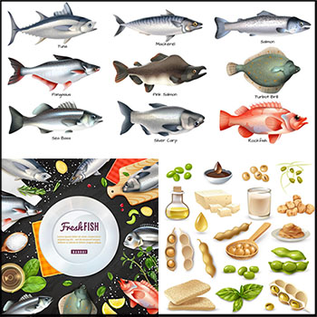 新鲜的海鱼海鲜和豆奶豆制品第一素材网矢量插图精选