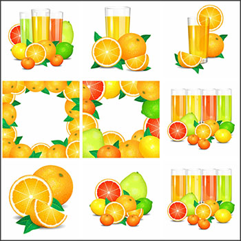 8款橙子水果果汁第一素材网矢量插图精选