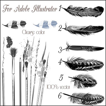 插画家的鸟类羽毛矢量AI笔刷