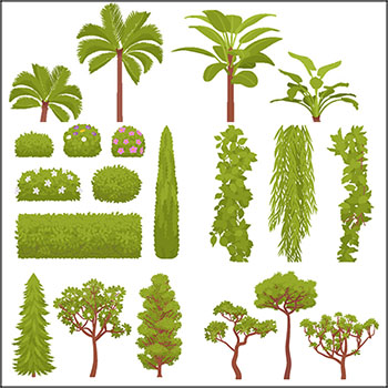 绿色植物绿色大树第一素材网矢量插图精选