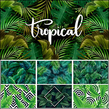 8款热带绿色植物树叶第一素材网矢量背景精选素材