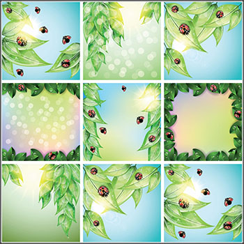 绿色树叶上的七星瓢虫春季夏季背景第一素材网矢量素材精选