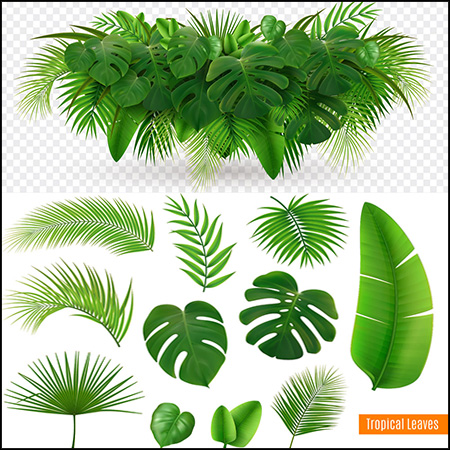 6套绿色盆栽植物和绿色叶子第一素材网矢量插图精选