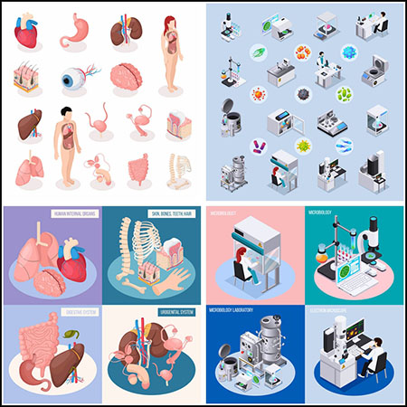 8套人体器官病毒研究医学研究2.5D等距第一素材网矢量插图精选