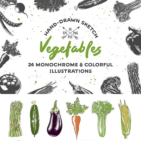 12款单色和彩色手绘蔬菜草图PNG免抠图