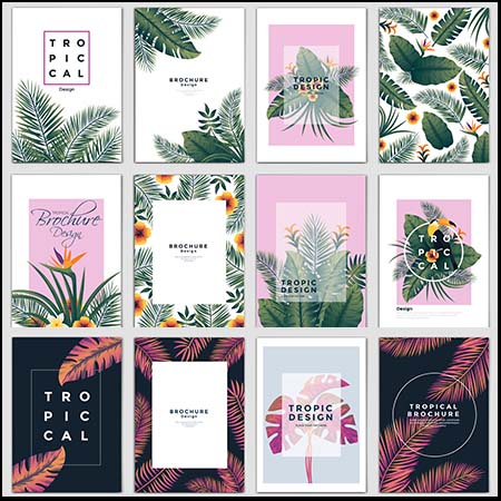 热带植物背景框架蚂蚁图库精选PSD模板