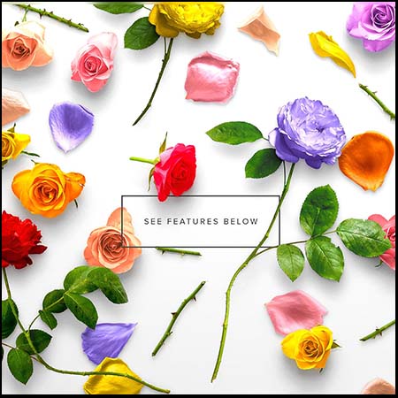 玫瑰花卉花瓣等广告场景PSD样机