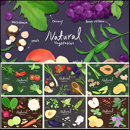 水果蔬菜苹果香蕉茄子辣椒四季豆等食材蚂蚁图库精选PSD模板