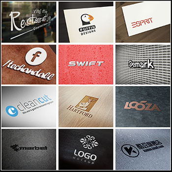 210款LOGO展示PS智能样机