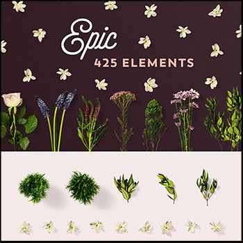 真实的花朵花卉花枝PSD素材